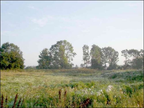 Zamošša. Park Lipsk