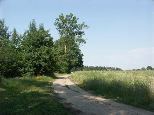 Hrušaŭka. Landscapes 