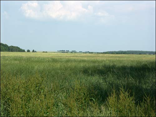  - Krajobrazy . W okolicy wsi