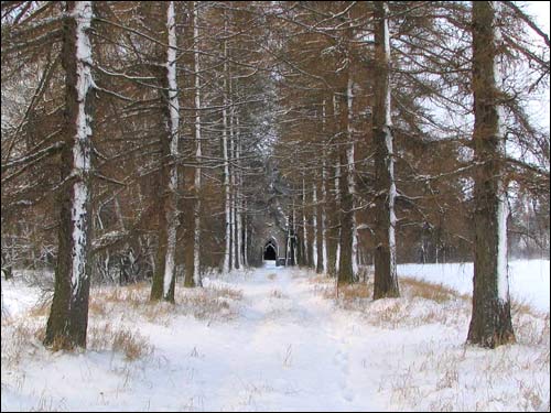  - Krajobrazy . Aleja