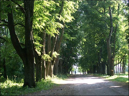 Hrušaŭka. Landscapes 