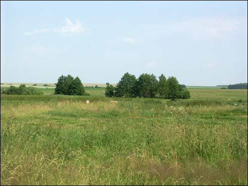  - Krajobrazy . W okolicy wsi