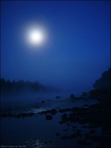 Zdraŭnieva (Kojtava). Landscapes 