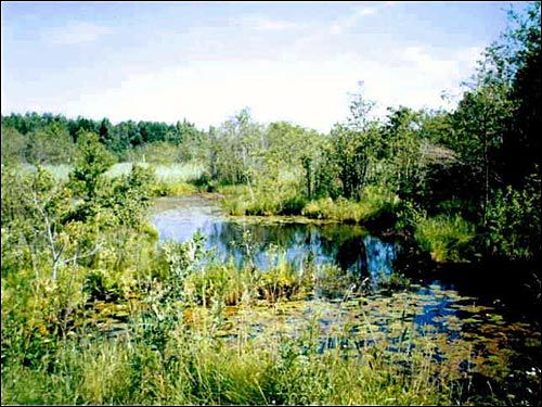 Клеманцова. Фальварак Кіякоўскіх