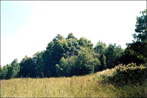 Клеманцова. Фальварак Кіякоўскіх