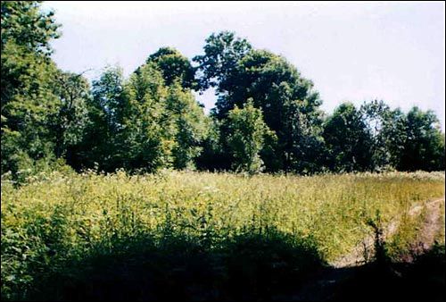 Клеманцова. Фальварак Кіякоўскіх