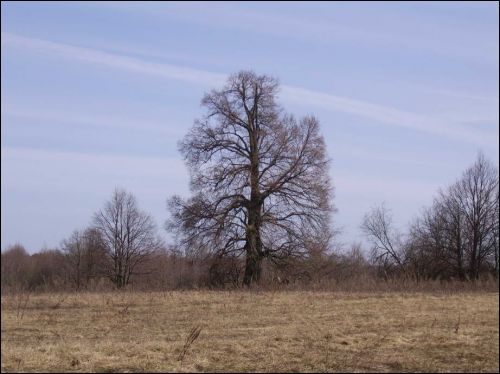 Бирули. Усадьба Юзефовичей «Поречье»