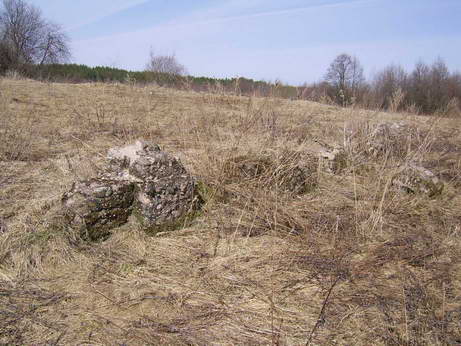 Biruli.  Dwór Józefowiczów «Porzecze»