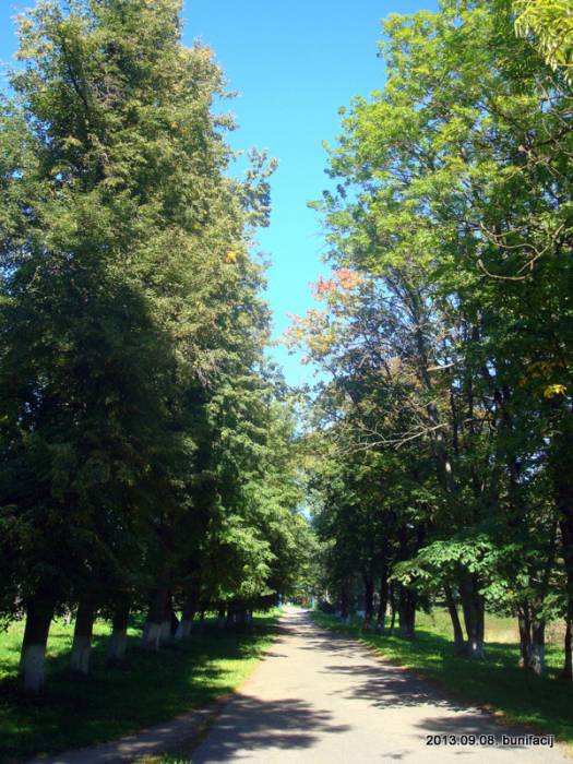 Варонічы. Сядзіба Лісоўскіх