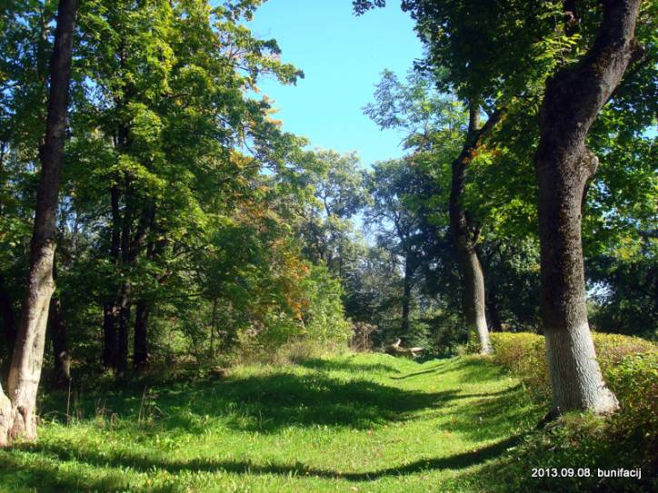 Варонічы. Сядзіба Лісоўскіх