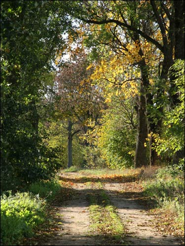  - Krajobrazy . Droga do miejsca dawnego folwarku Krahelskich