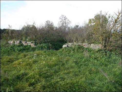  - Krajobrazy . Z dworu Krahelskich pozostały kamienie