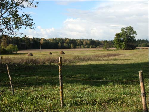  - Krajobrazy . Okolice wsi