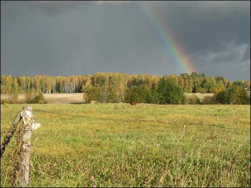  - Krajobrazy . Okolice wsi