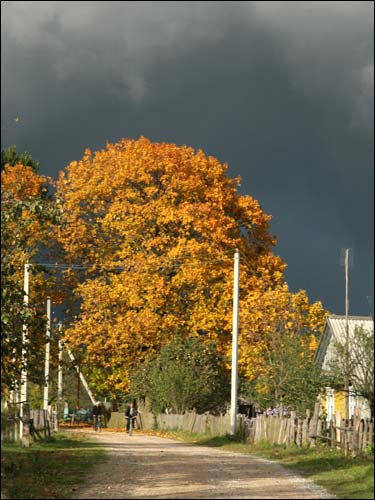  - Krajobrazy . Ulica w Mazurkach