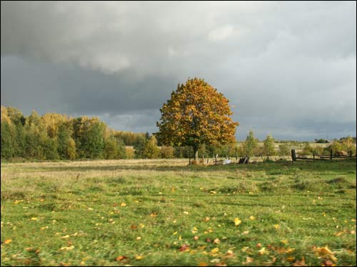  - Krajobrazy . W okolicy wsi