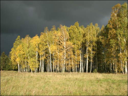  - Krajobrazy . W okolicy wsi