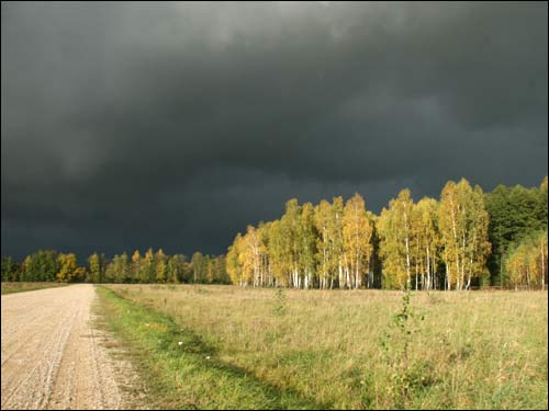  - Krajobrazy . Okolica wsi w burzową pogodę