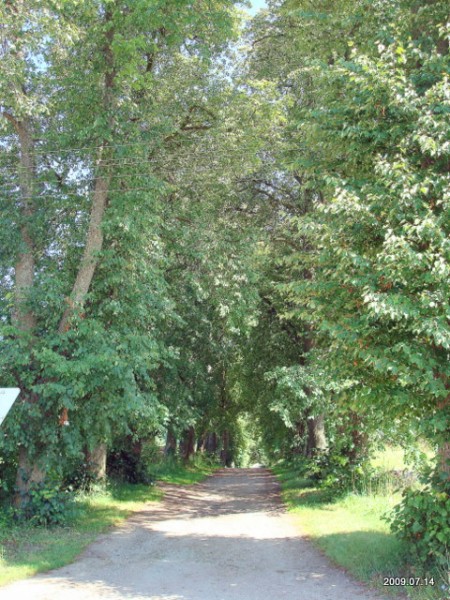 Šešuolėliai I. Manor 