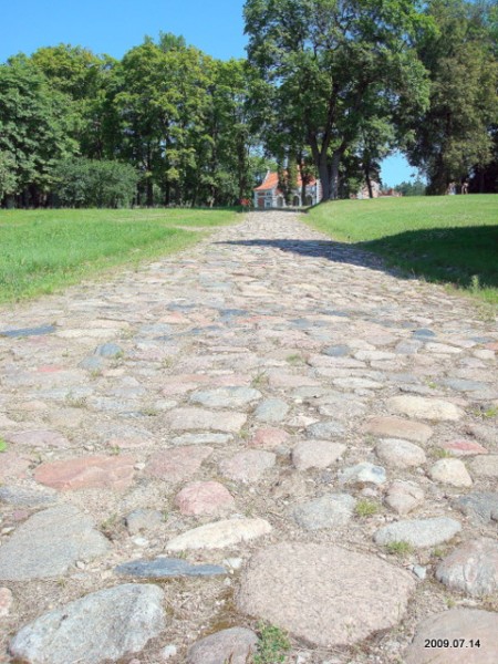 Šešuolėliai I. Manor 