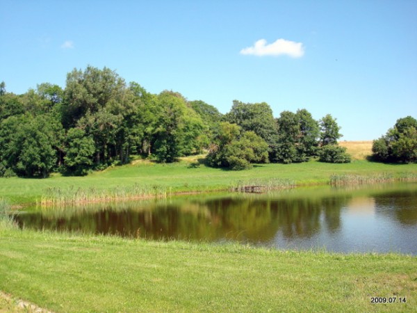 Šešuolėliai I. Manor 