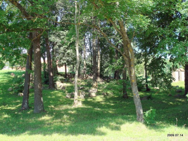 Šešuolėliai I. Manor 