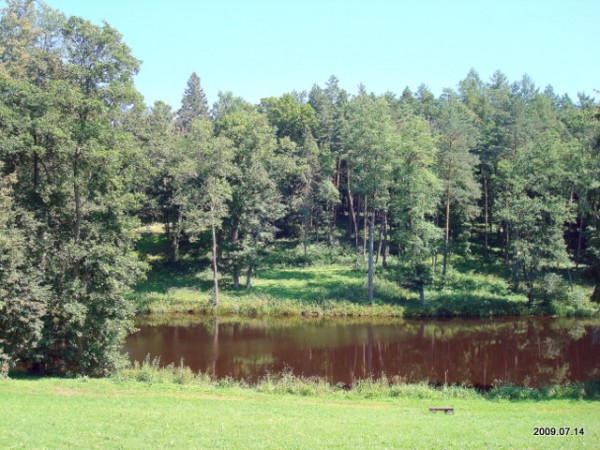 Šešuolėliai I. Manor 