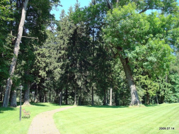 Šešuolėliai I. Manor 