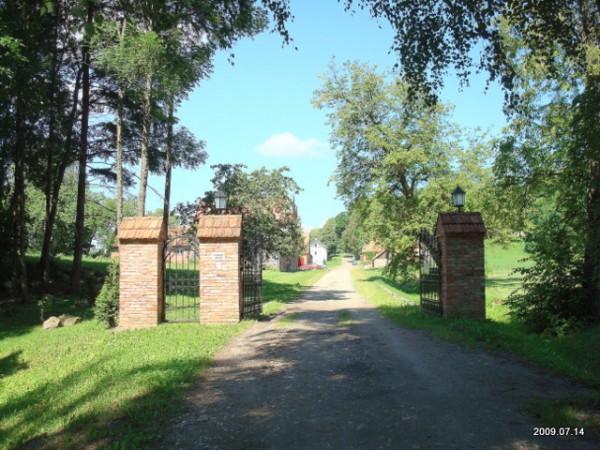 Šešuolėliai I. Manor 