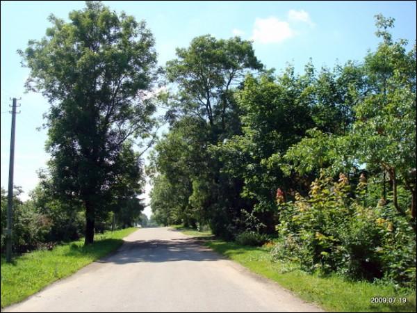 Краявіды  Богуславішках.   - Краявіды .