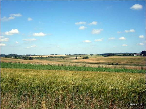 Краявіды  Богуславішках.   - Краявіды .