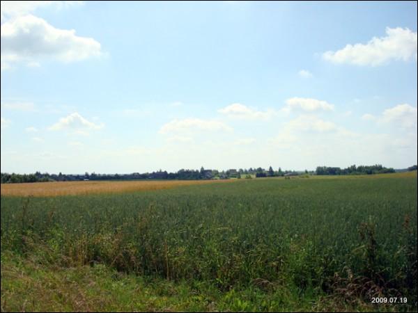 Краявіды  Богуславішках.   - Краявіды .