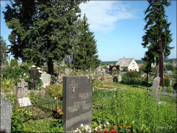 Кладбище старое католическое Виденишках. Общий вид кладбища  - Кладбище старое католическое. Общий вид кладбища