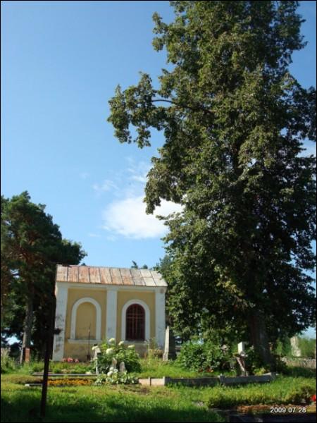 Кладбище старое католическое Виденишках. Кладбище и часовня  - Кладбище старое католическое. Кладбище и часовня