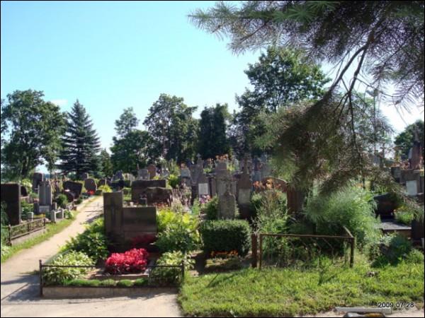 Кладбище старое католическое Молетах.   - Кладбище старое католическое.