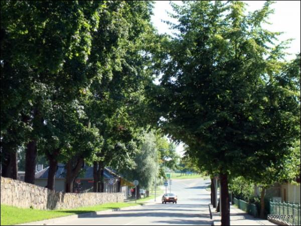 Molėtai. Landscapes 