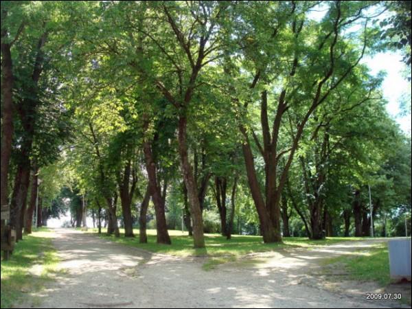 Landscapes  .   - Landscapes .