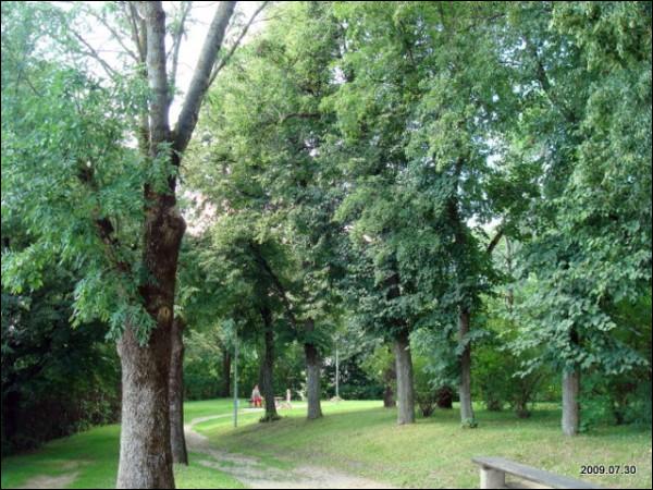 Landscapes  .   - Landscapes .