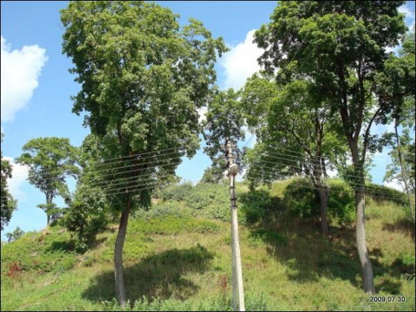 Landscapes  .   - Landscapes .