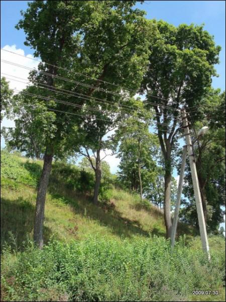 Landscapes  .   - Landscapes .