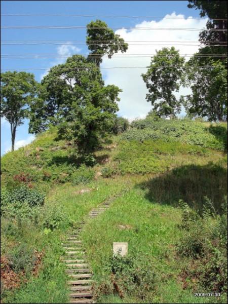 Landscapes  .   - Landscapes .