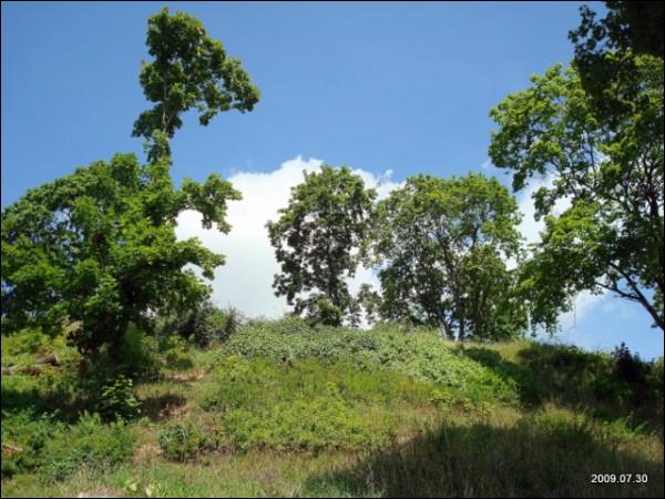 Landscapes  .   - Landscapes .