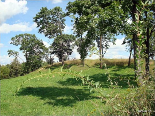 Landscapes  .   - Landscapes .