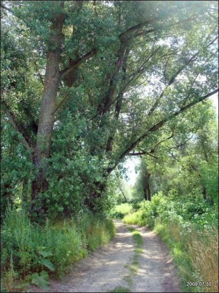 Ukmergė. Landscapes 