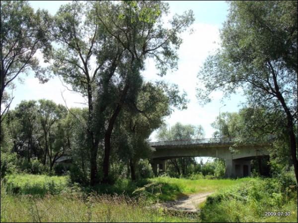 Landscapes  .   - Landscapes .