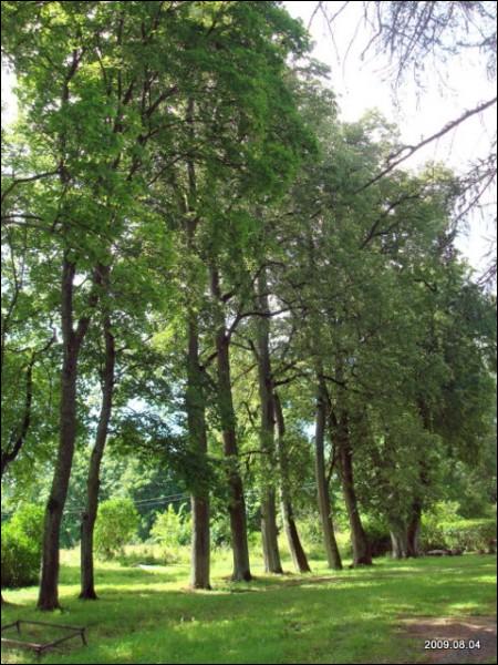 Wysoki Dwór. Zespół pałacowo-parkowy Malewskich