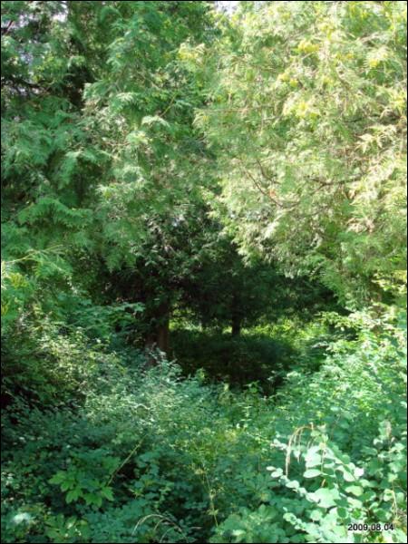 Wysoki Dwór. Zespół pałacowo-parkowy Malewskich