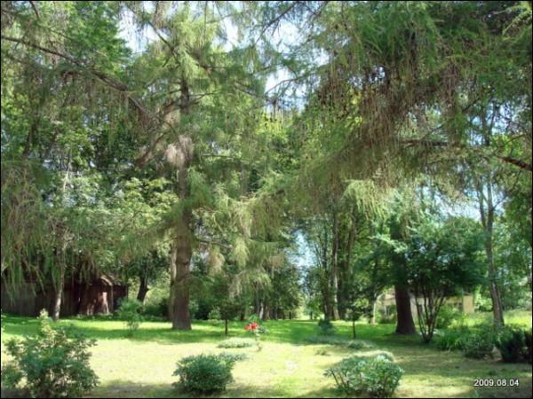 Wysoki Dwór. Zespół pałacowo-parkowy Malewskich