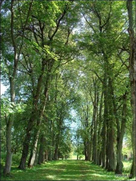 Wysoki Dwór. Zespół pałacowo-parkowy Malewskich