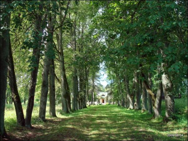 Wysoki Dwór. Zespół pałacowo-parkowy Malewskich